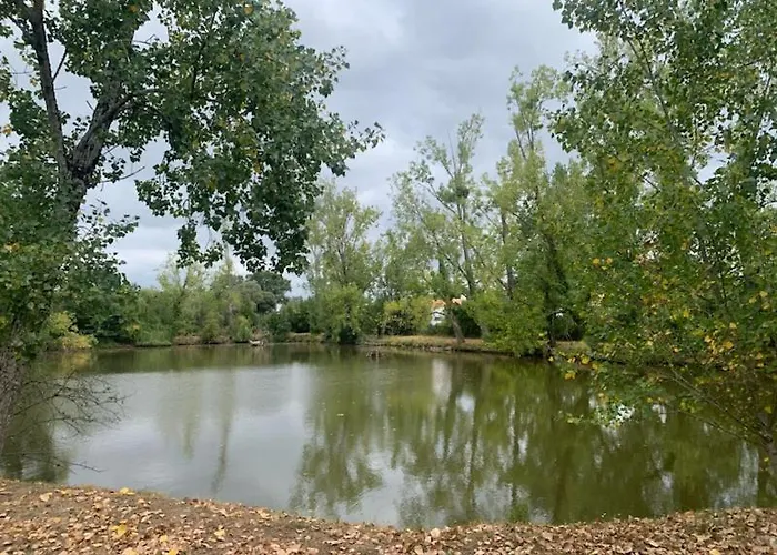 Maison Avec Piscine Privee, Proche Avrille (Vendee)